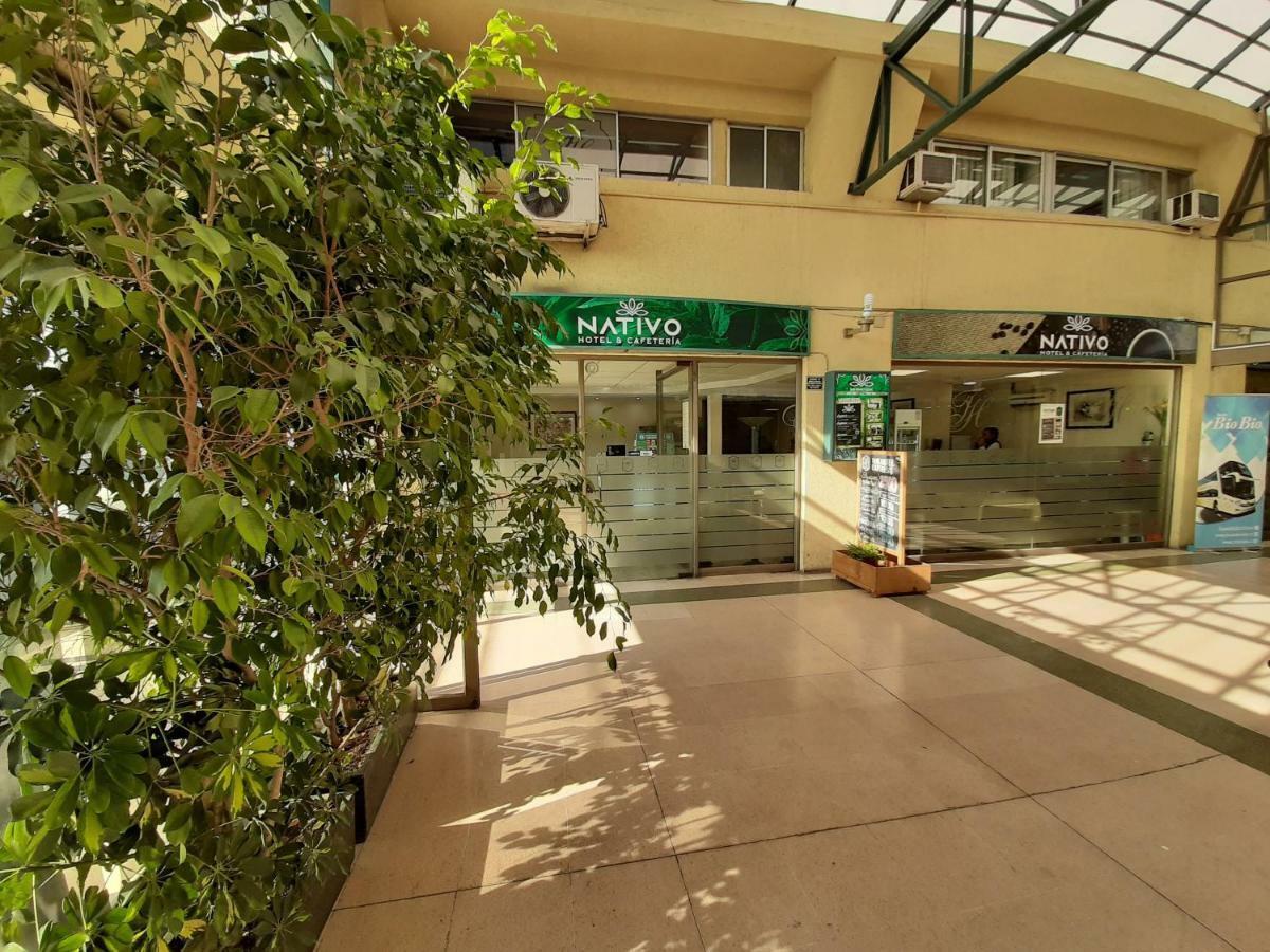 Nativo Hotel Y Cafeteria Talca  Eksteriør bilde